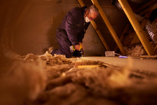 Best Insulation Maintenance and Repair in Olmsted Falls, OH